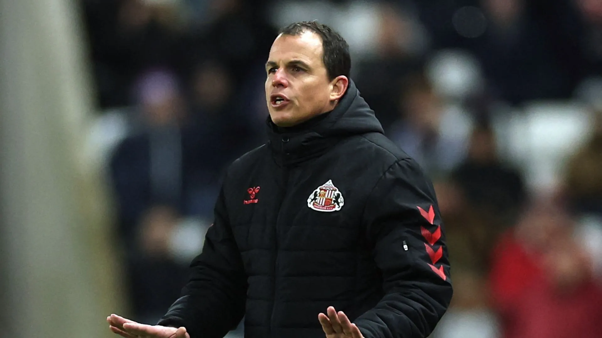 Huấn luyện viên Régis Le Bris của câu lạc bộ Sunderland