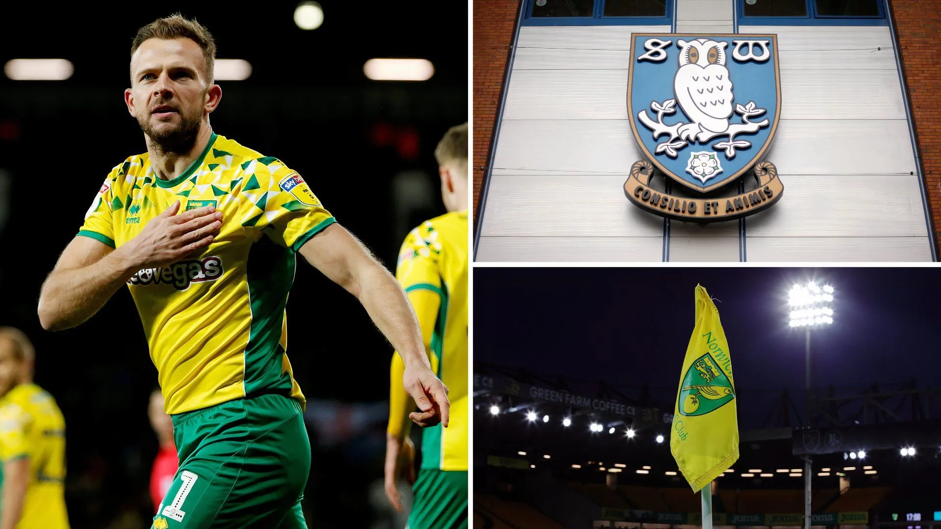 Jordan Rhodes trong màu áo Sheffield Wednesday đối đầu Norwich City.