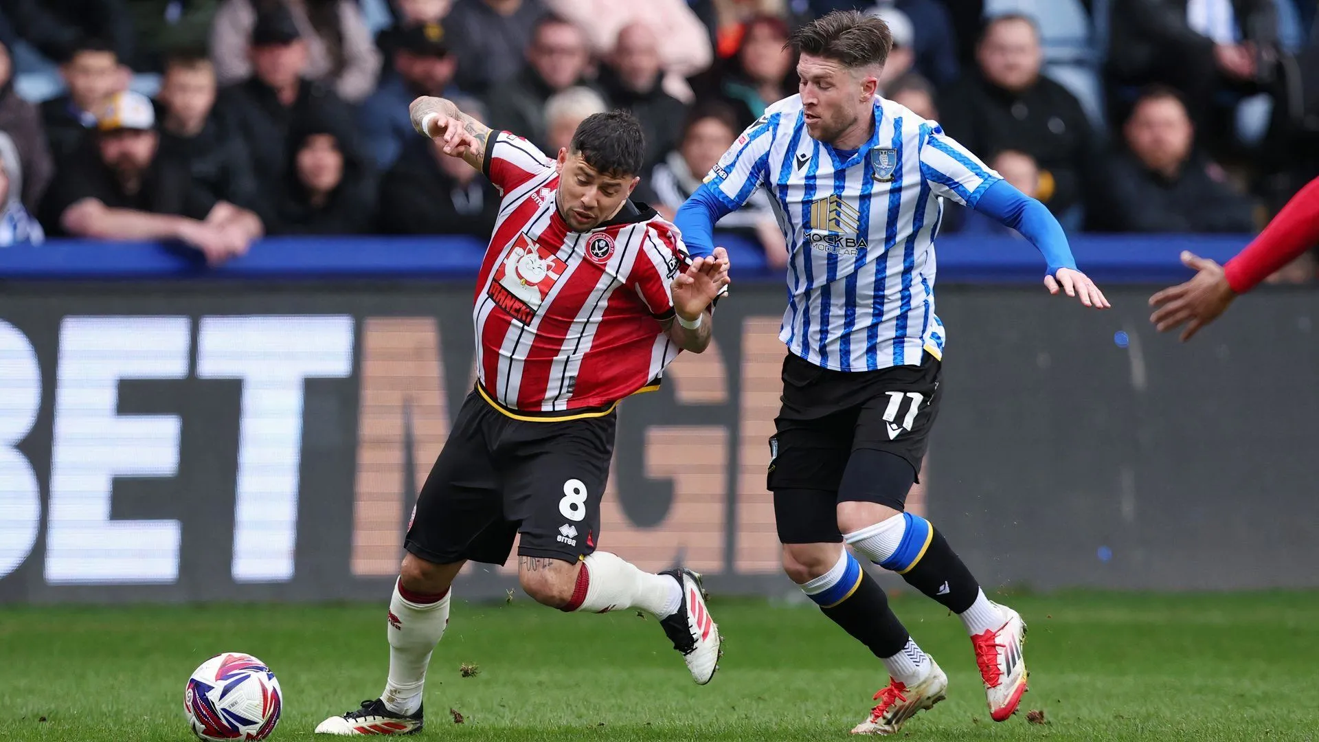 Josh Windass thi đấu trong trận Sheffield Wednesday gặp Sheffield United