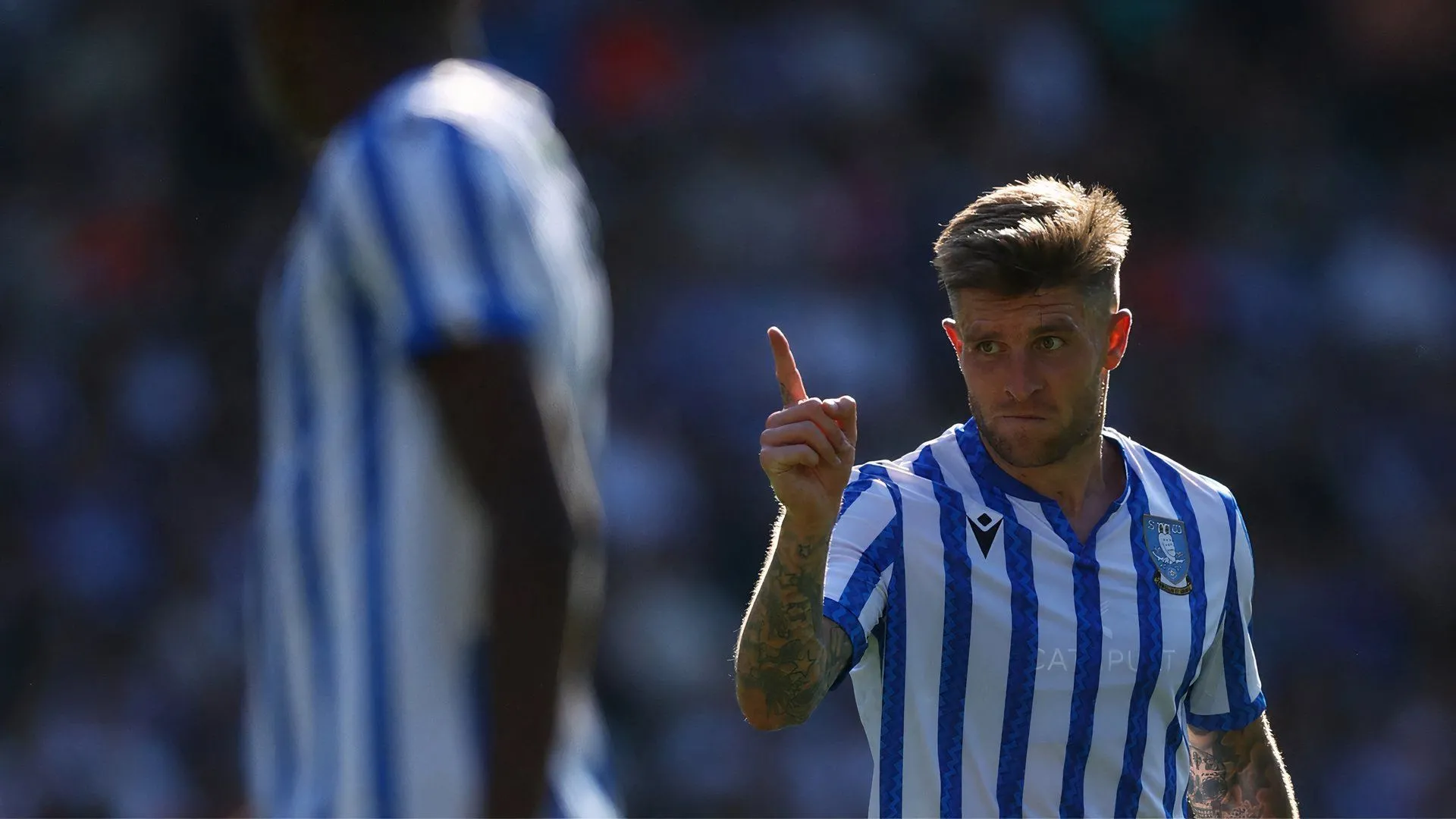 Josh Windass trong màu áo Sheffield Wednesday