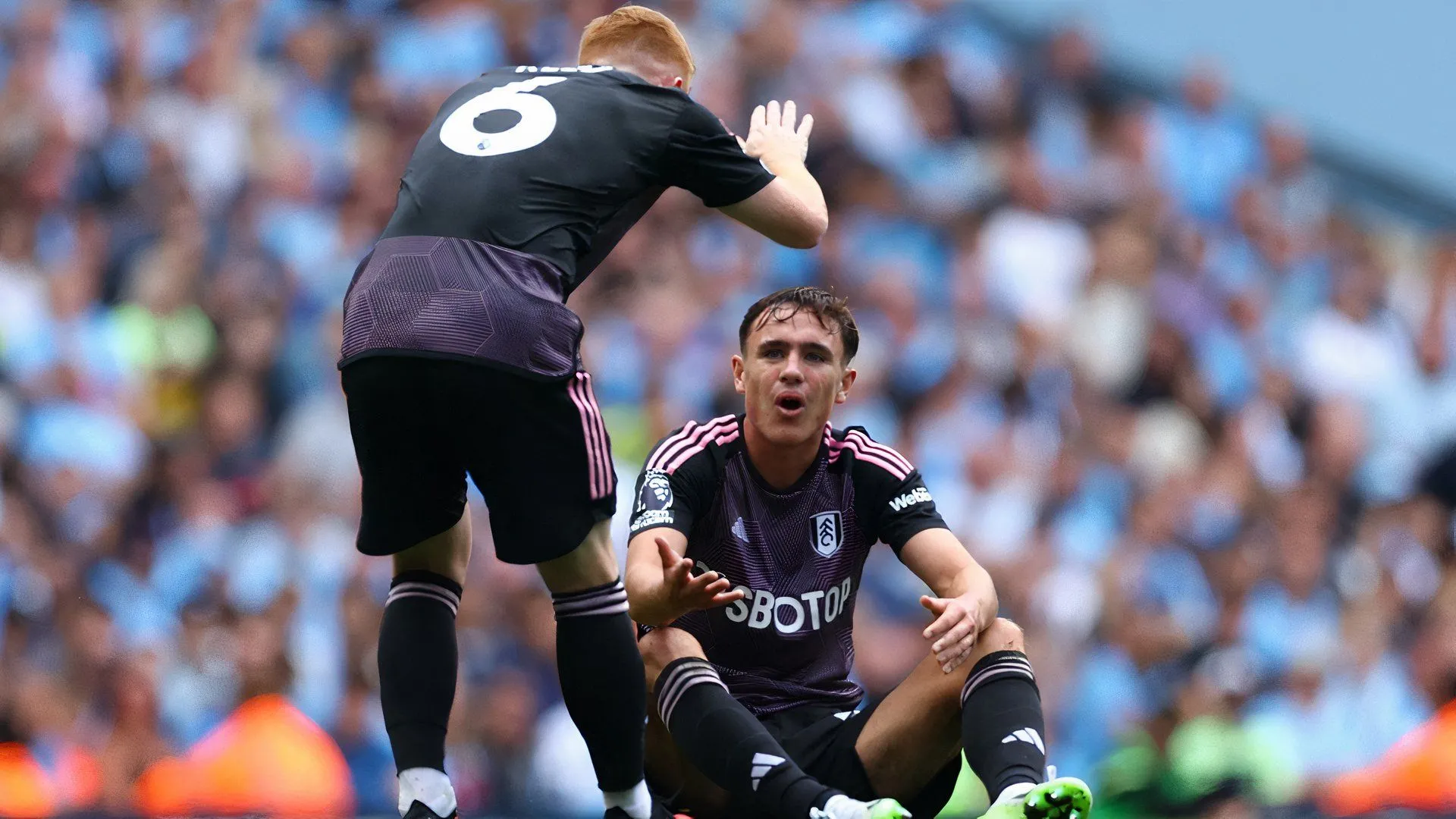 Luke Harris thi đấu cho Fulham tại Premier League