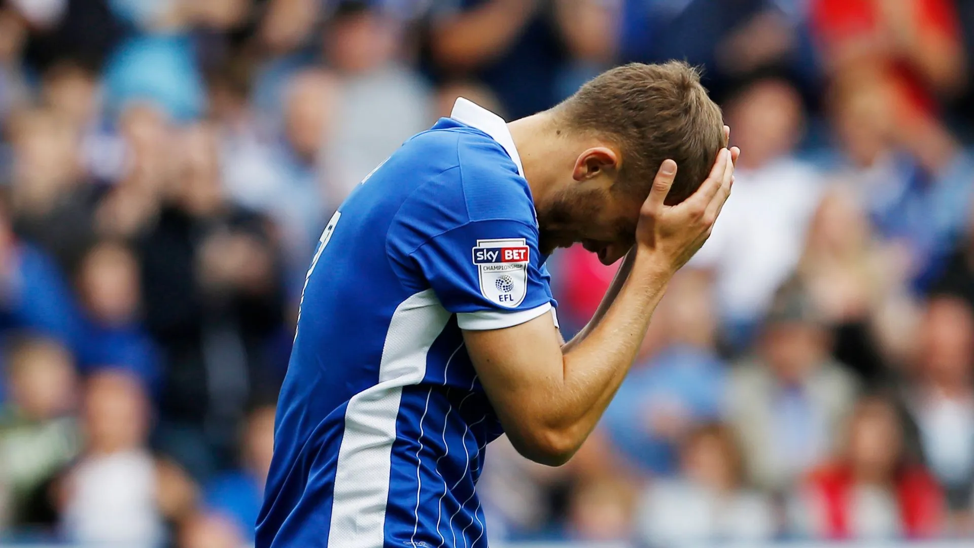 Tiền vệ tấn công Almen Abdi trong màu áo Sheffield Wednesday.