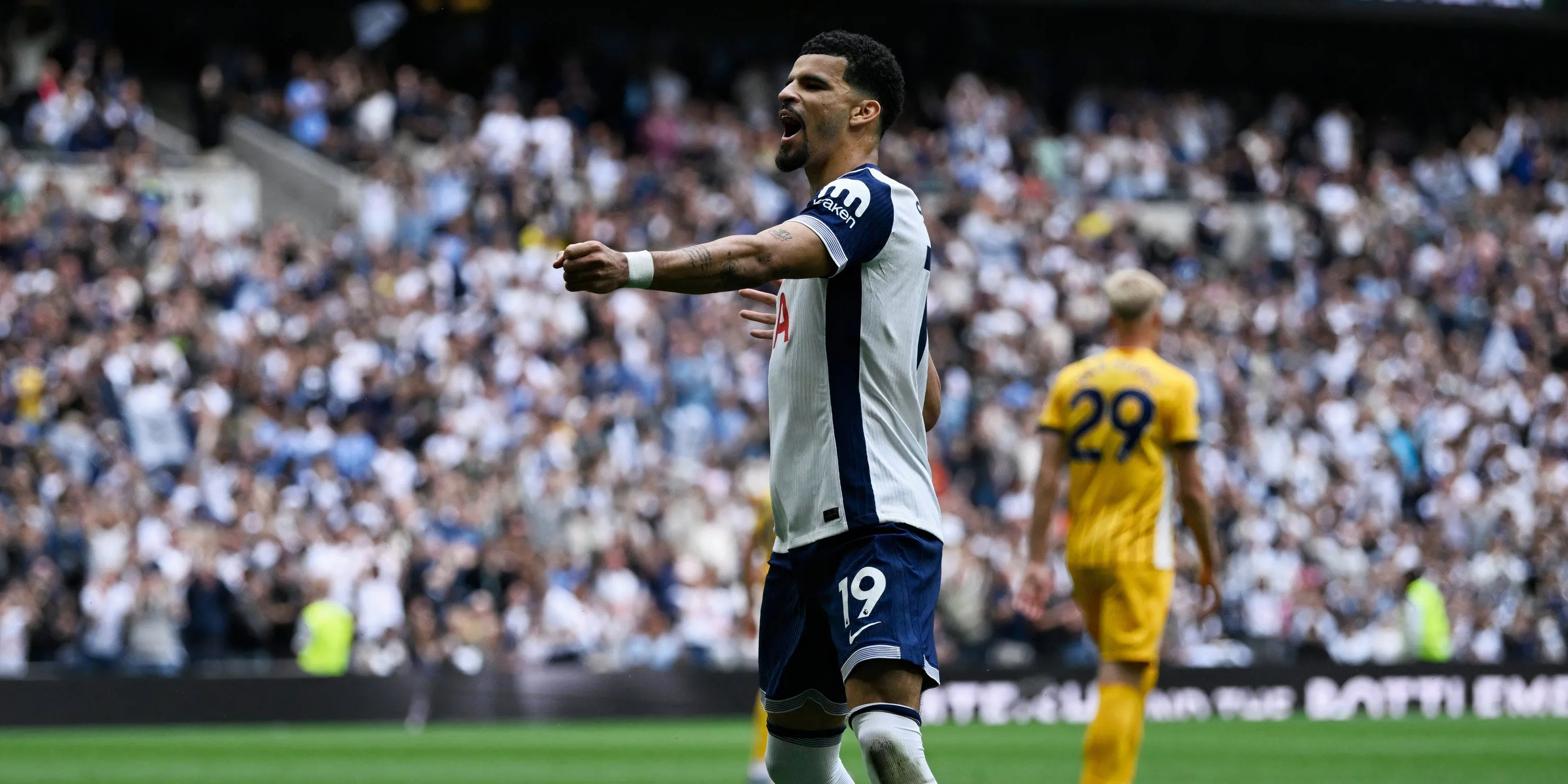Dominic Solanke ăn mừng sau khi ghi bàn cho Tottenham